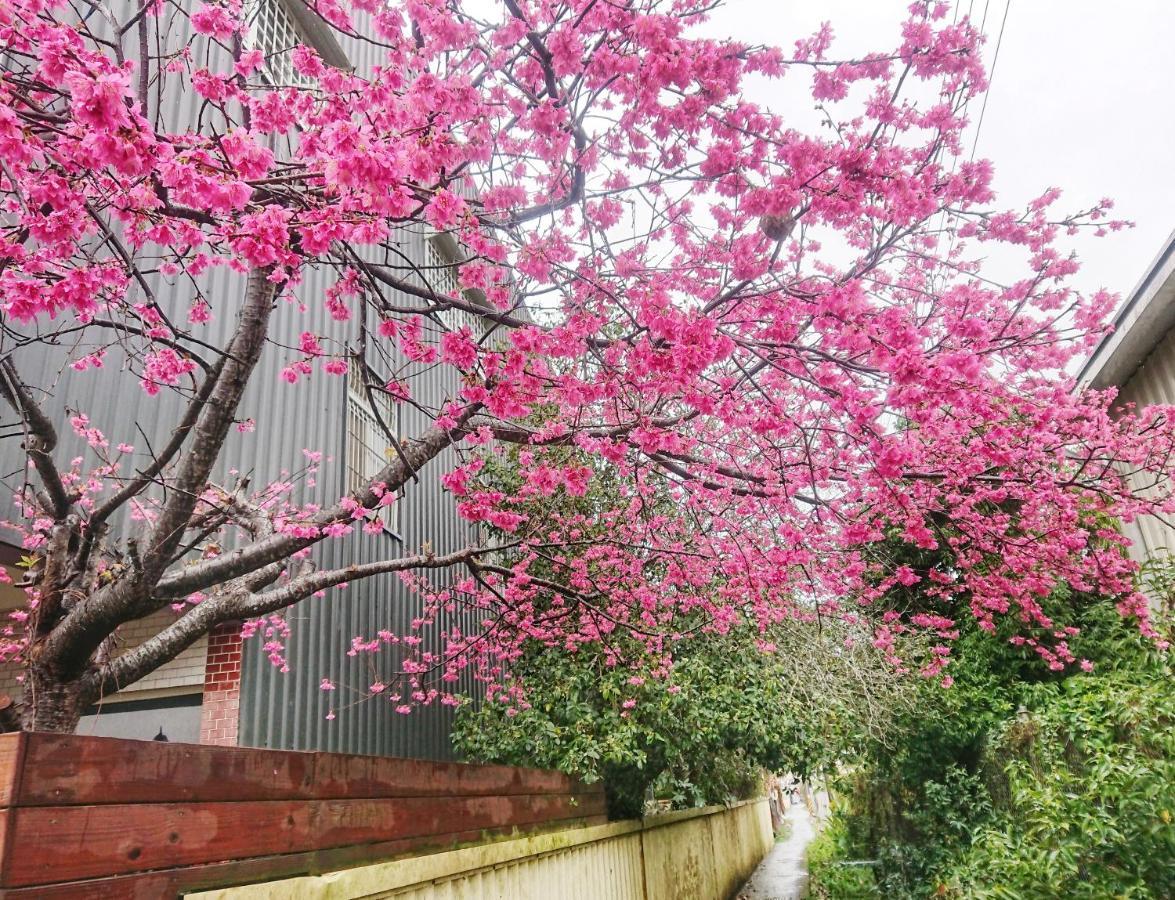 Xinshe Xiao Shu Time Homestay Buitenkant foto